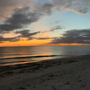 Meet your Posher, Angelina